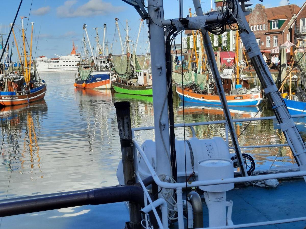 Familienurlaub In Ostfriesland Fuer Max 7 Pers In 2 Wohnungen, Auch Einzeln Wohnungen Utarp Extérieur photo