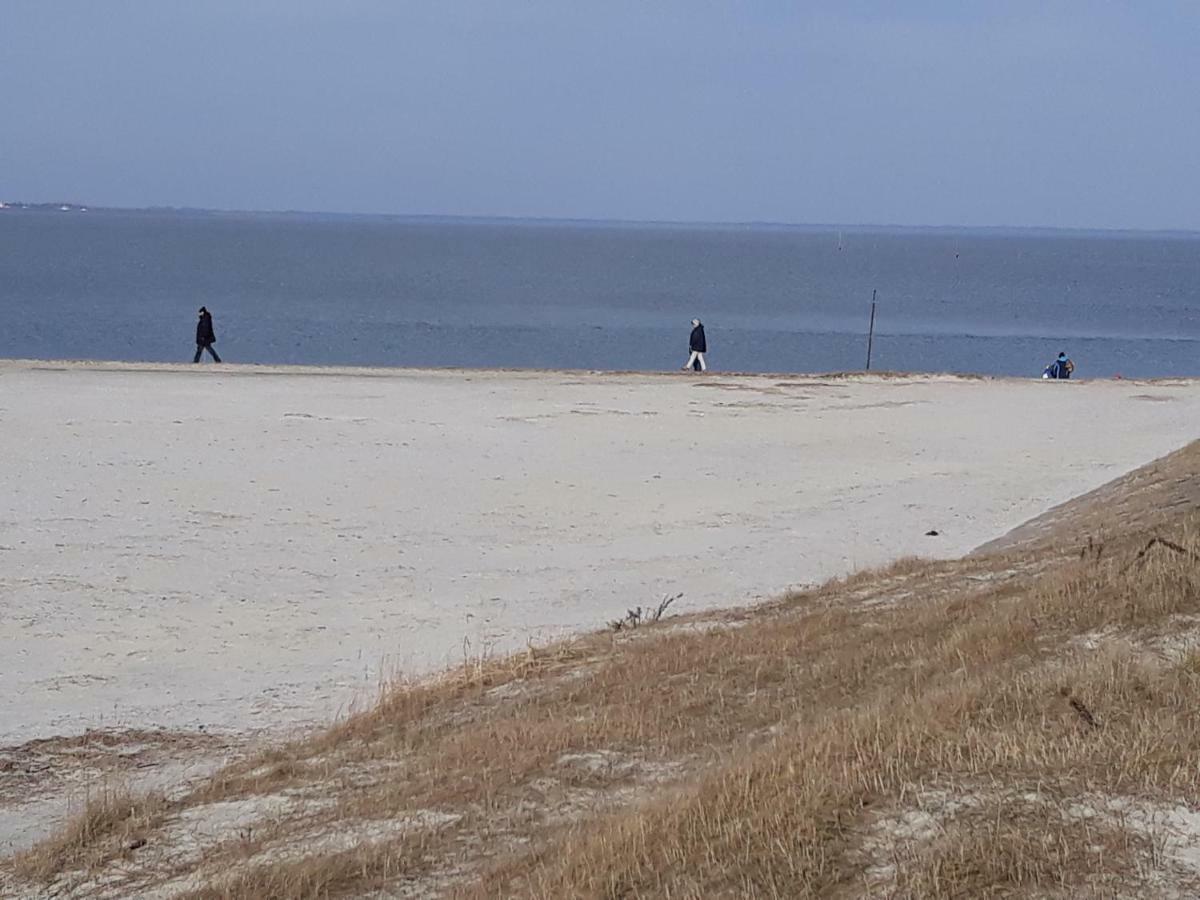 Familienurlaub In Ostfriesland Fuer Max 7 Pers In 2 Wohnungen, Auch Einzeln Wohnungen Utarp Extérieur photo